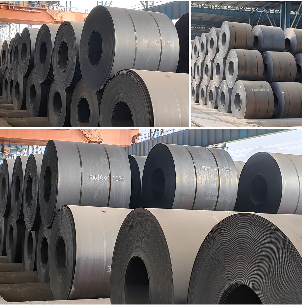 carbon steel coil